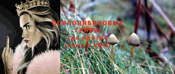 ешки Абдулино