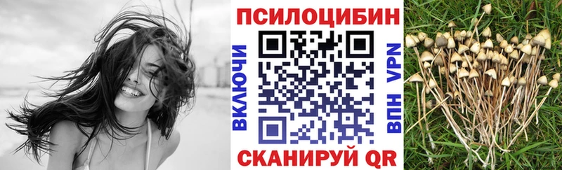 Псилоцибиновые грибы GOLDEN TEACHER  omg как войти  Поворино  где найти наркотики 